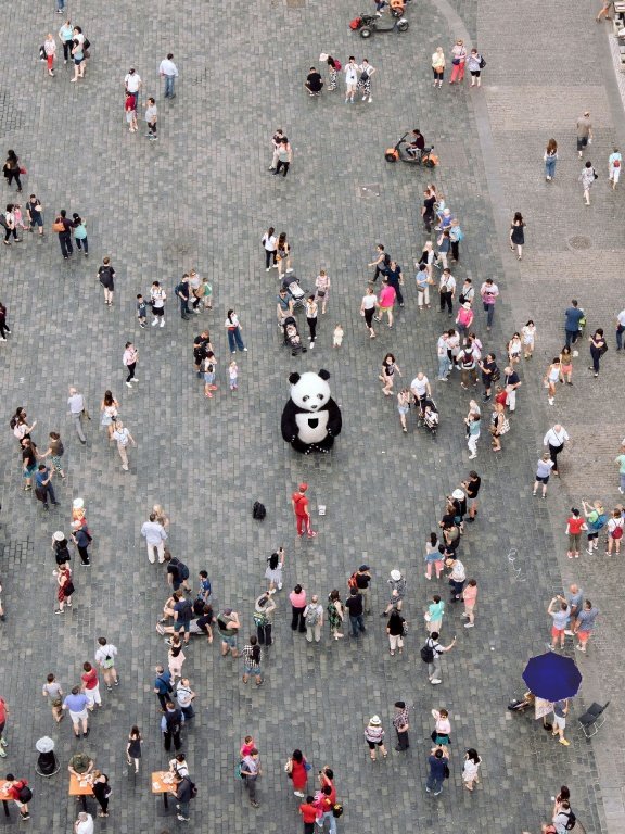 Puzzle picture for a spot-the-difference puzzle