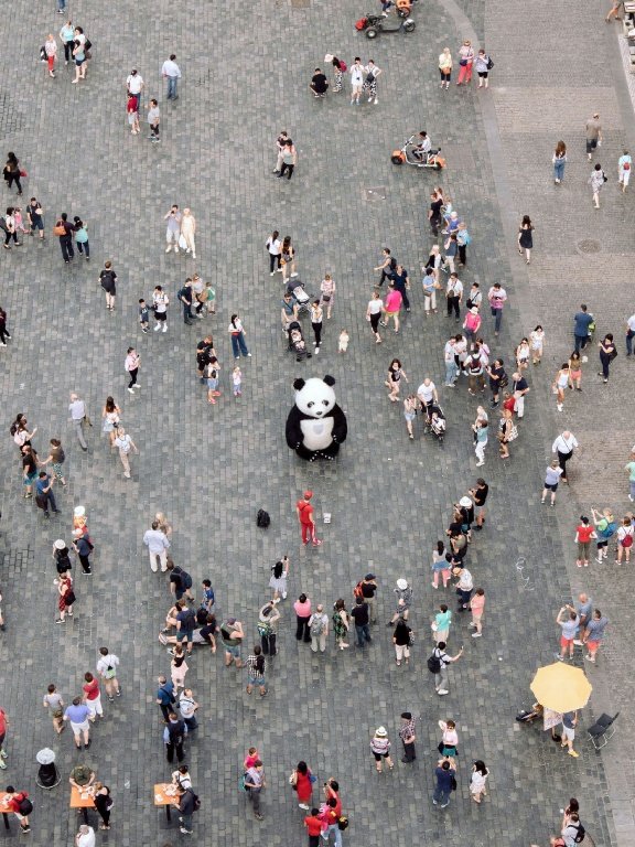 Original picture for a spot-the-difference puzzle