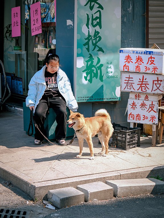 Puzzle picture for a spot-the-difference puzzle